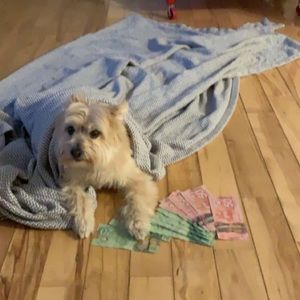 Meet your Posher, Katelyn